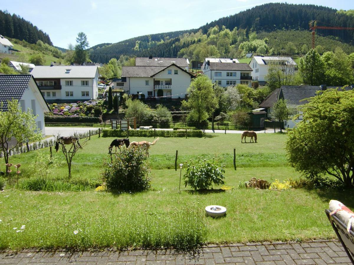 Ferienwohnung Lenne Schmallenberg Extérieur photo